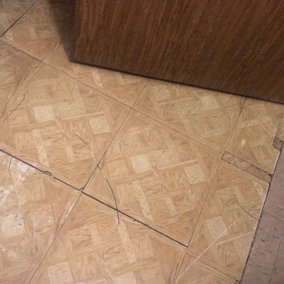 Meet your Posher, Queen - Picture 1 of 1